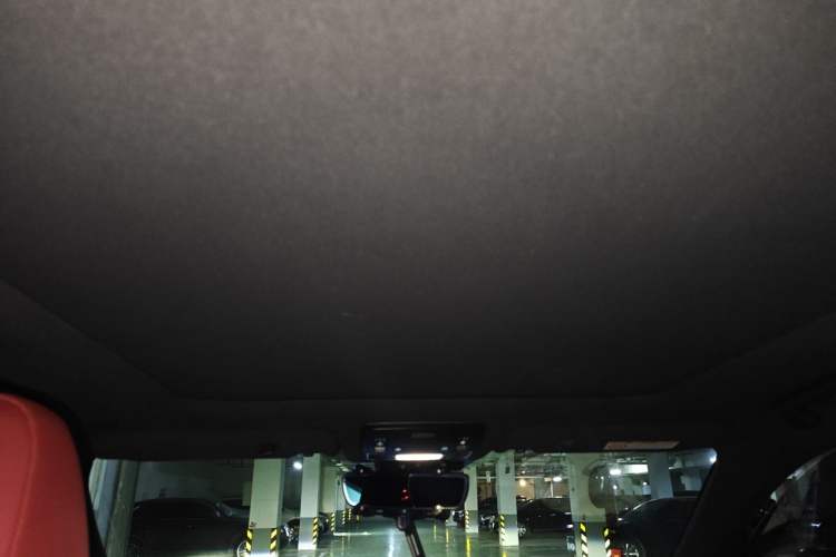 Used Lexus RX 2016 300 4x4 F SPORT Version China VI Standard Headliner