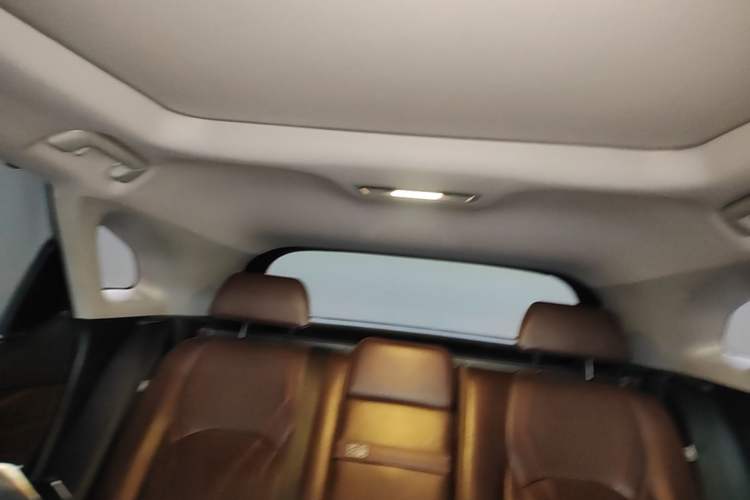 Used Lexus RX 2016 450h Four-Wheel Drive Luxury Edition Headliner