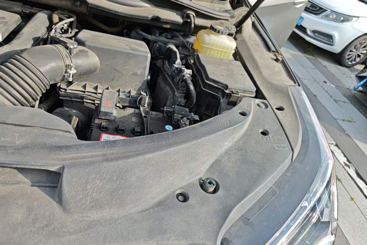 Used Lexus RX 2016 300 Two-Wheel Drive Elite Version China V Standard Engine Bay Left