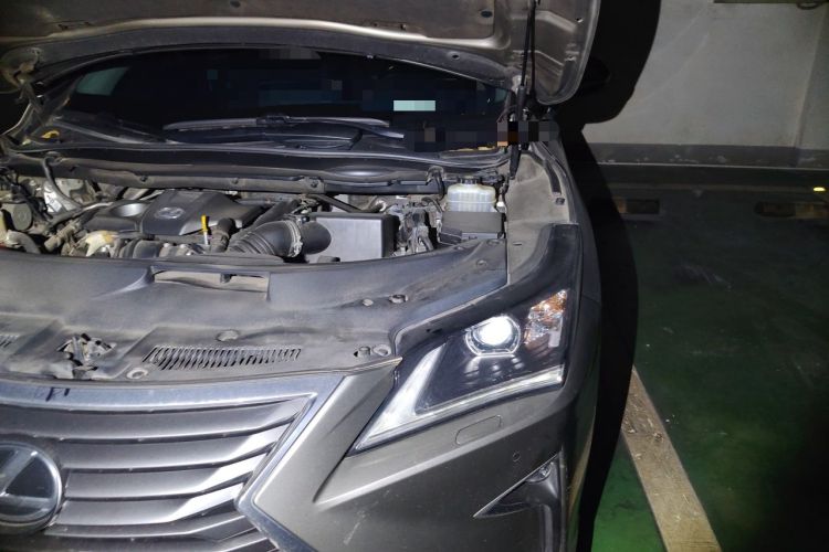 Used Lexus RX 2016 300 Two-Wheel Drive Elite Version China V Standard Engine Bay Left