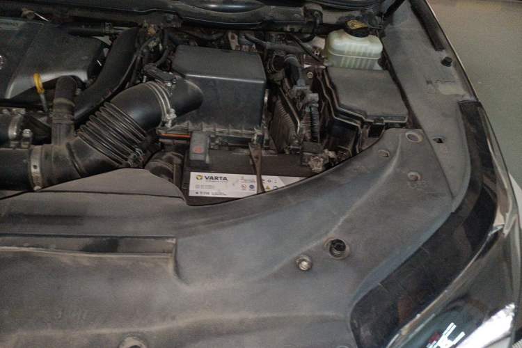 Used Lexus RX 2016 300 4x4 F SPORT Version China VI Standard Engine Bay Left