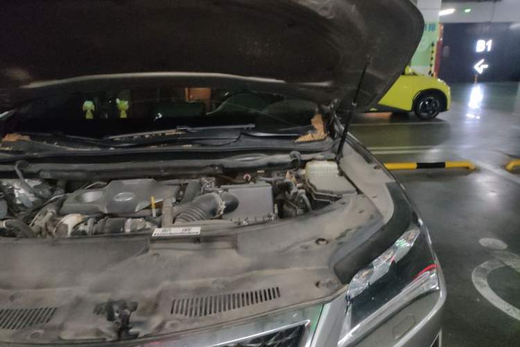 Used Lexus RX 2016 300 4x4 F SPORT Version China V Standard Engine Bay Left