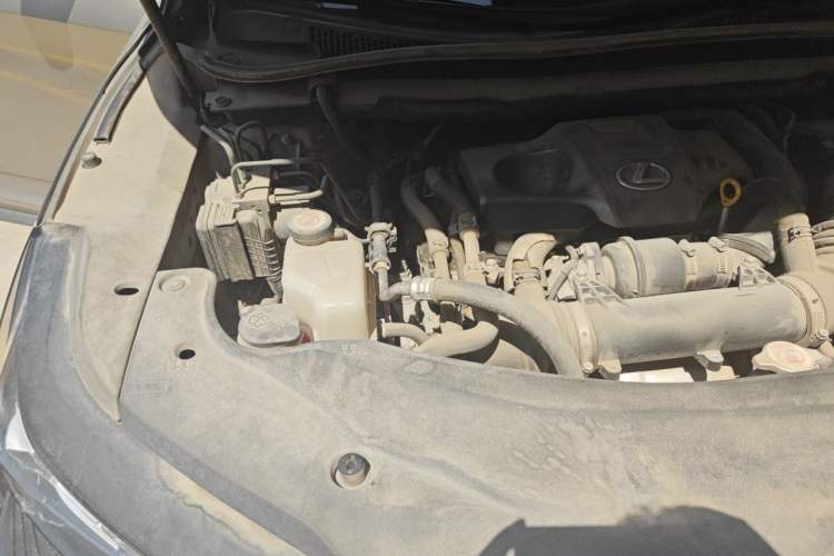 Used Lexus RX 2016 300 4x4 Elegant Edition China V-standard Engine Bay Right