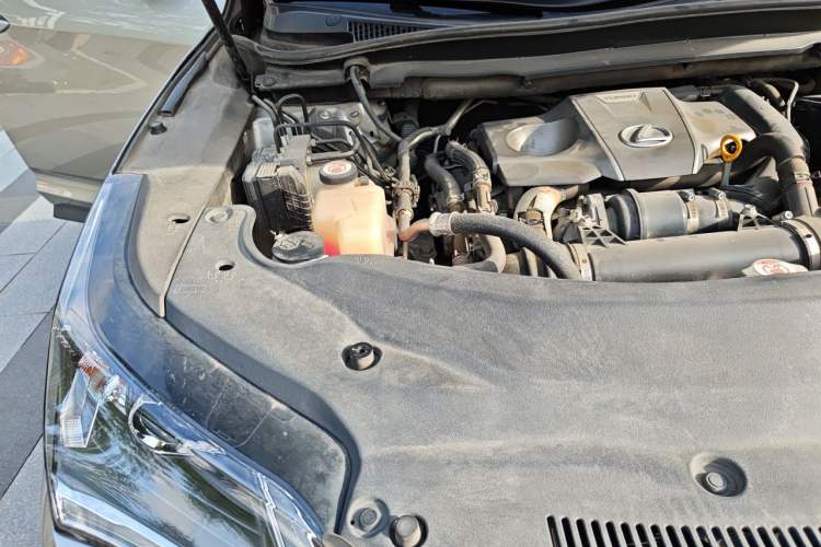 Used Lexus RX 2016 300 Two-Wheel Drive Elite Version China V Standard Engine Bay Right