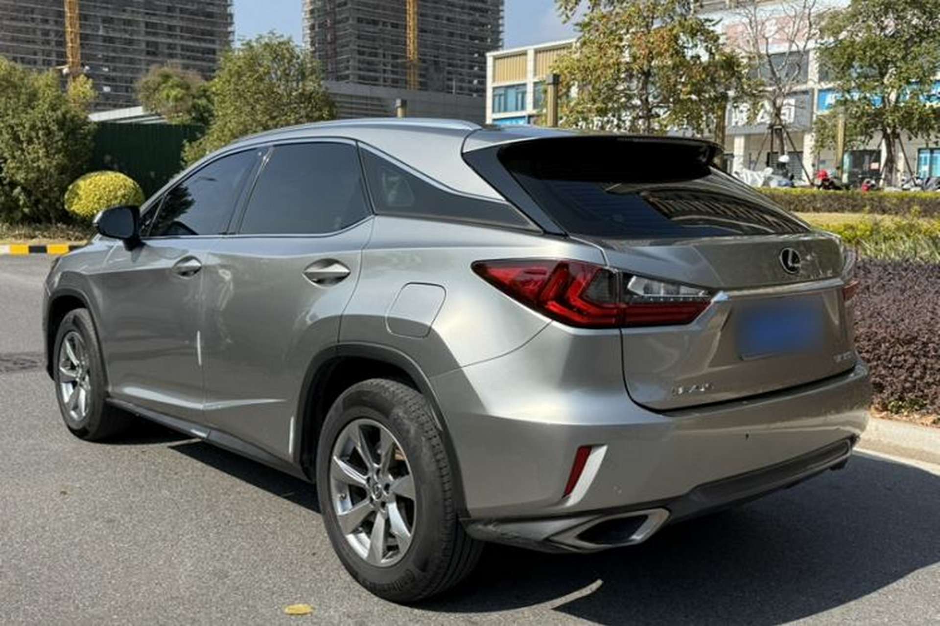 Used Lexus RX 2016 300 Two-Wheel Drive Elite Version China V Standard Exterior 10