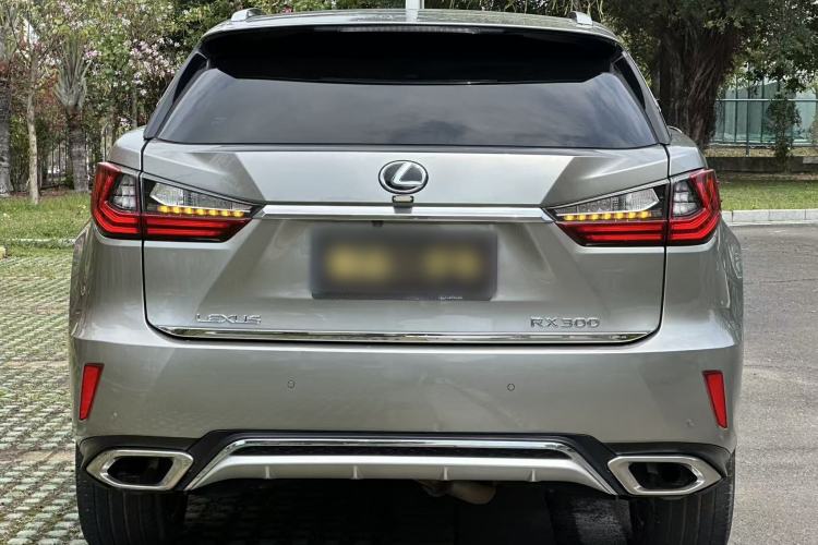Used Lexus RX 2016 300 4x4 Elegant Edition China V-standard Exterior 8