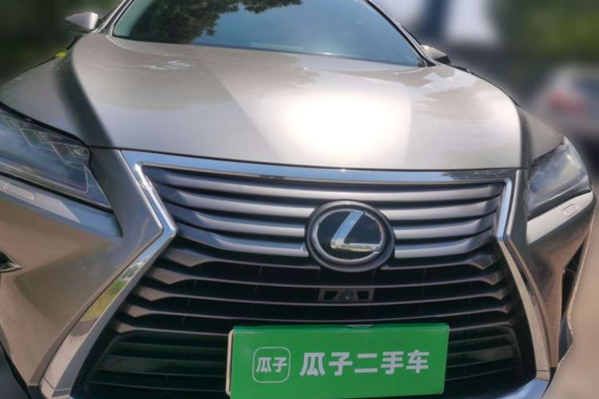 Used Lexus RX 2016 300 4x4 Elegant Edition China VI Front