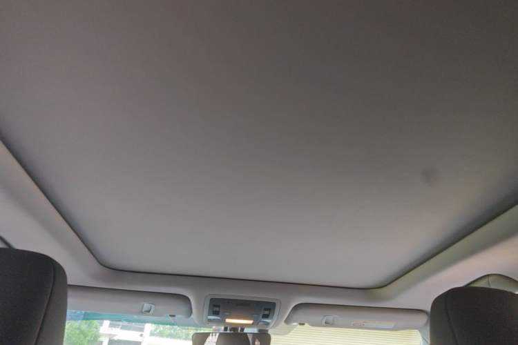 Used Lexus RX 2016 300 4x4 Elegant Edition China V-standard Headliner