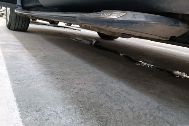 Used Lexus RX 2016 300 Two-Wheel Drive Elite Version China V Standard Left Side Sill