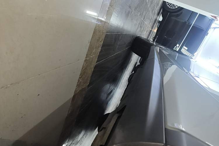 Used Lexus RX 2016 300 4x4 Elegant Edition China VI Left Side Sill