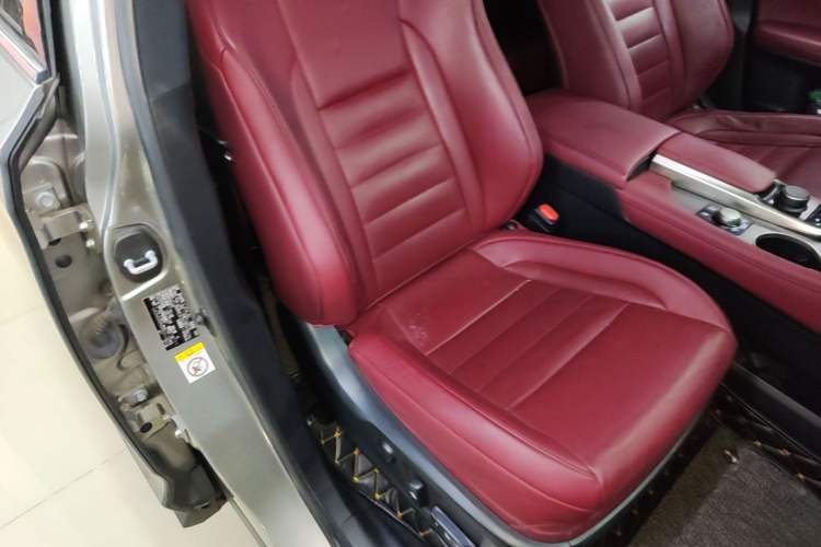 Used Lexus RX 2016 300 4x4 F SPORT Version China V Standard Right Front Seat