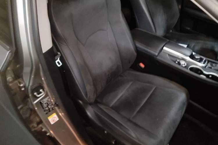 Used Lexus RX 2016 300 Two-Wheel Drive Elite Version China V Standard Right Front Seat
