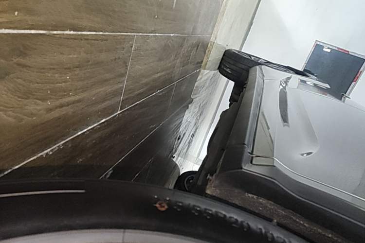Used Lexus RX 2016 300 4x4 Elegant Edition China VI Right Side Sill