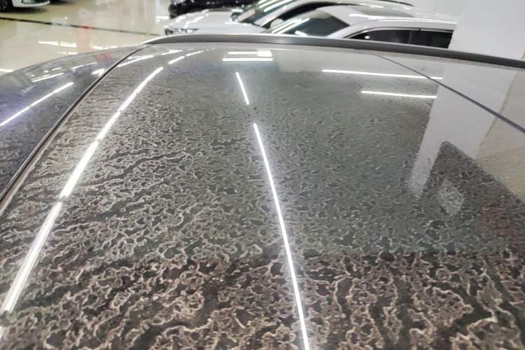 Used Lexus RX 2016 300 4x4 F SPORT Version China V Standard Roof