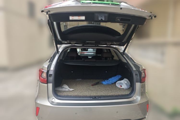 Used Lexus RX 2016 300 Two-Wheel Drive Comfort Edition China V Standard Trunk