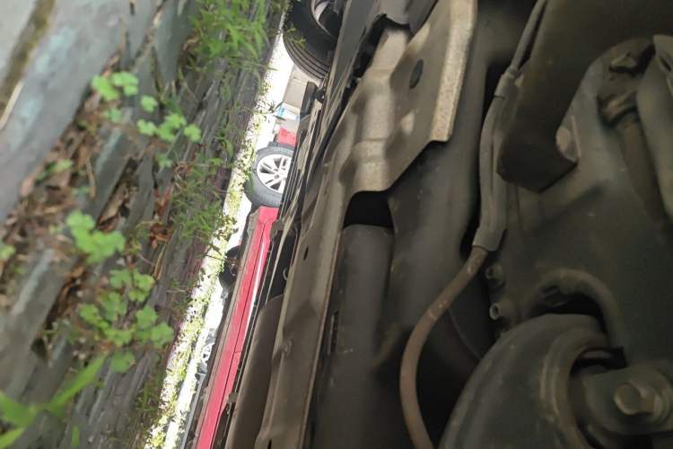 Used Lexus RX 2016 300 Two-Wheel Drive Elite Version China V Standard Chassis Rear Left