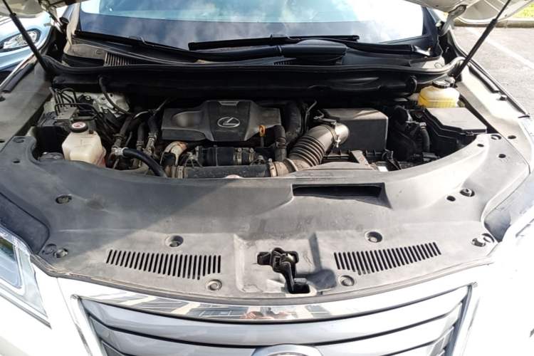 Used Lexus RX 2016 300 Two-Wheel Drive Elite Version China V Standard Engine Bay