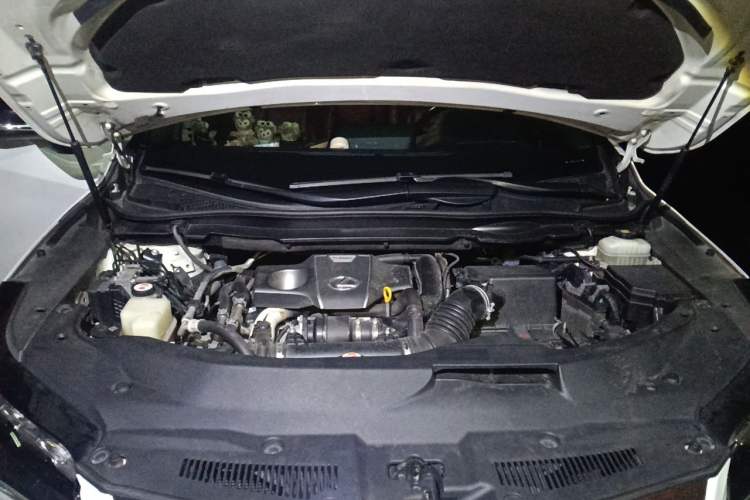 Used Lexus RX 2016 300 4x4 F SPORT Version China V Standard Engine Bay
