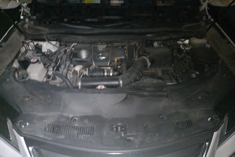 Used Lexus RX 2016 300 Two-Wheel Drive Elite Version China V Standard Engine Bay