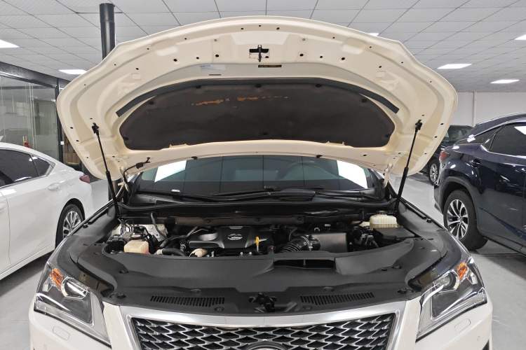 Used Lexus RX 2016 300 Two-Wheel Drive Elite Version China V Standard Engine Bay