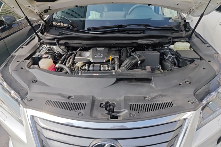 Used Lexus RX 2016 300 4x4 Elegant Edition China V-standard Engine Bay