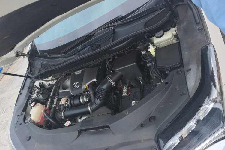 Used Lexus RX 2016 300 Two-Wheel Drive Elite Version China V Standard Engine Bay