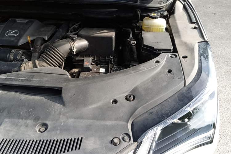 Used Lexus RX 2016 300 Two-Wheel Drive Elite Version China V Standard Engine Bay Left