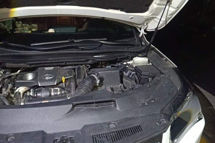 Used Lexus RX 2016 300 4x4 F SPORT Version China V Standard Engine Bay Left