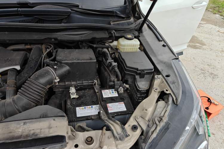 Used Lexus RX 2016 300 Two-Wheel Drive Elite Version China V Standard Engine Bay Left