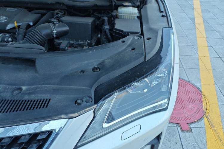 Used Lexus RX 2016 300 Two-Wheel Drive Elite Version China V Standard Engine Bay Left