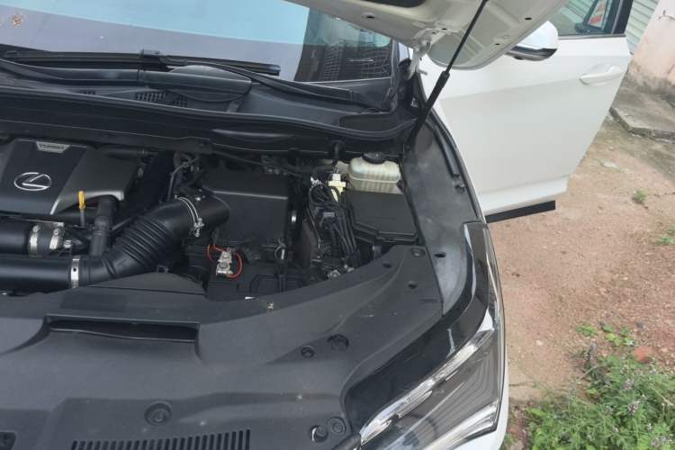 Used Lexus RX 2016 300 Two-Wheel Drive Elite Version China V Standard Engine Bay Left