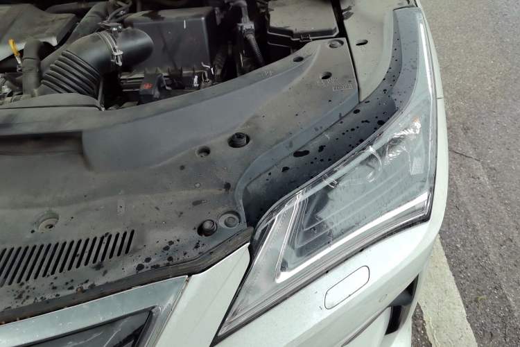 Used Lexus RX 2016 300 Two-Wheel Drive Comfort Edition China V Standard Engine Bay Left