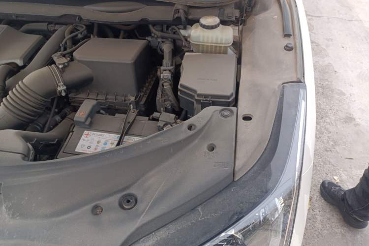 Used Lexus RX 2016 300 Two-Wheel Drive Elite Version China V Standard Engine Bay Left