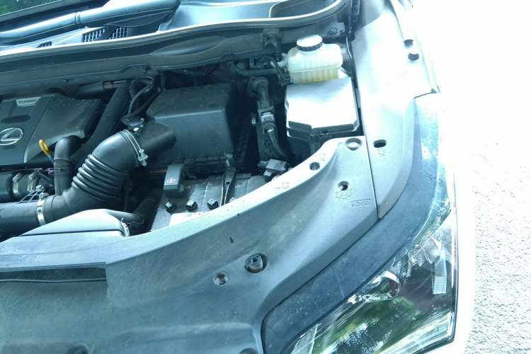 Used Lexus RX 2016 300 Two-Wheel Drive Elite Version China V Standard Engine Bay Left