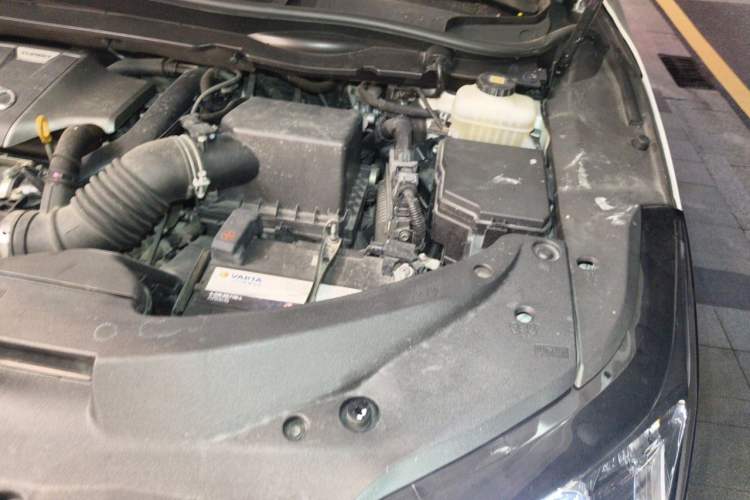 Used Lexus RX 2016 300 Two-Wheel Drive Elite Version China V Standard Engine Bay Left