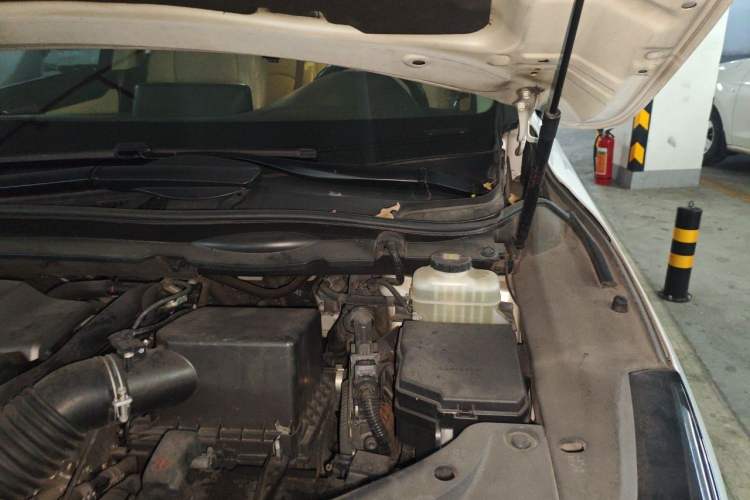 Used Lexus RX 2016 300 Two-Wheel Drive Elite Version China V Standard Engine Bay Left
