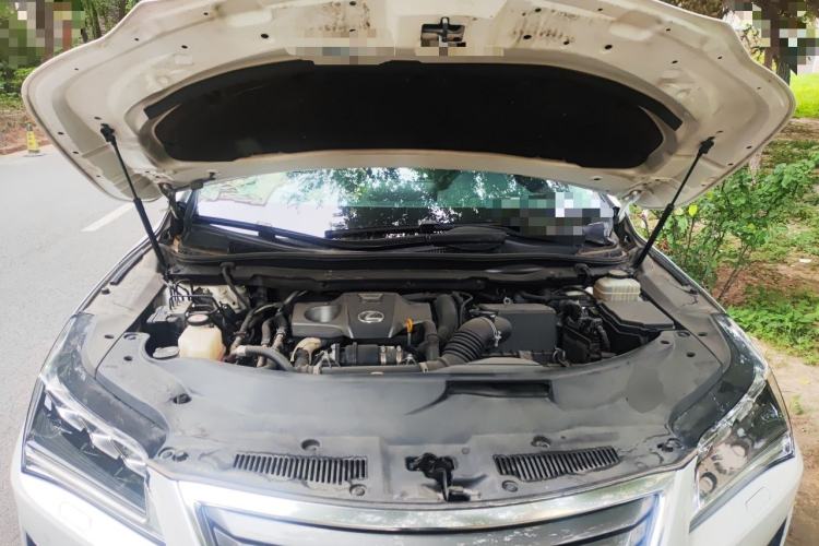 Used Lexus RX 2016 300 4x4 Elegant Edition China VI Engine Bay