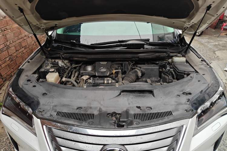 Used Lexus RX 2016 300 4x4 Elegant Edition China V-standard Engine Bay
