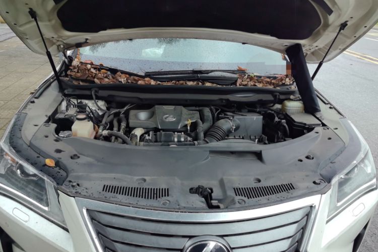 Used Lexus RX 2016 300 Two-Wheel Drive Comfort Edition China V Standard Engine Bay