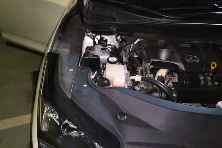 Used Lexus RX 2016 300 Two-Wheel Drive Elite Version China V Standard Engine Bay Right