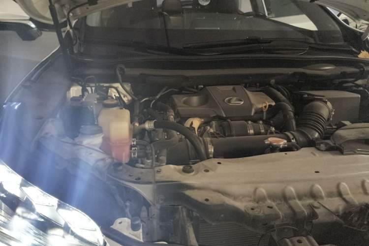 Used Lexus RX 2016 300 4x4 Elegant Edition China V-standard Engine Bay Right