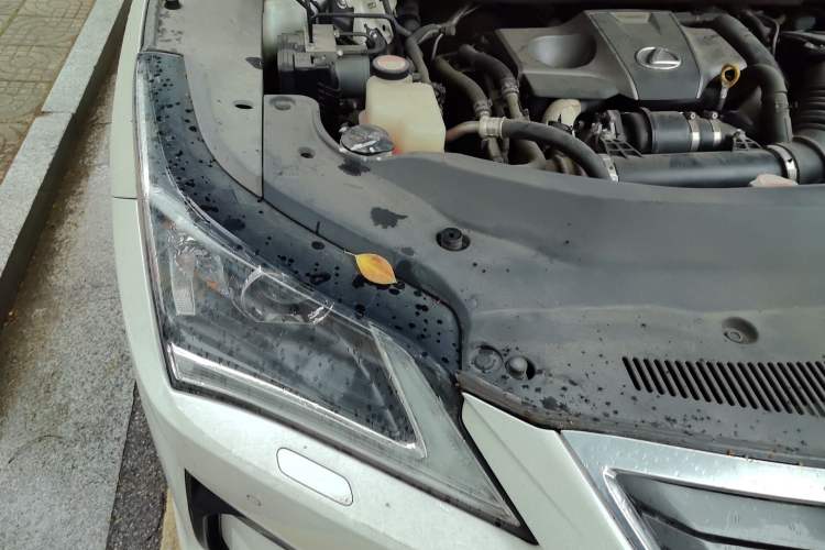 Used Lexus RX 2016 300 Two-Wheel Drive Comfort Edition China V Standard Engine Bay Right