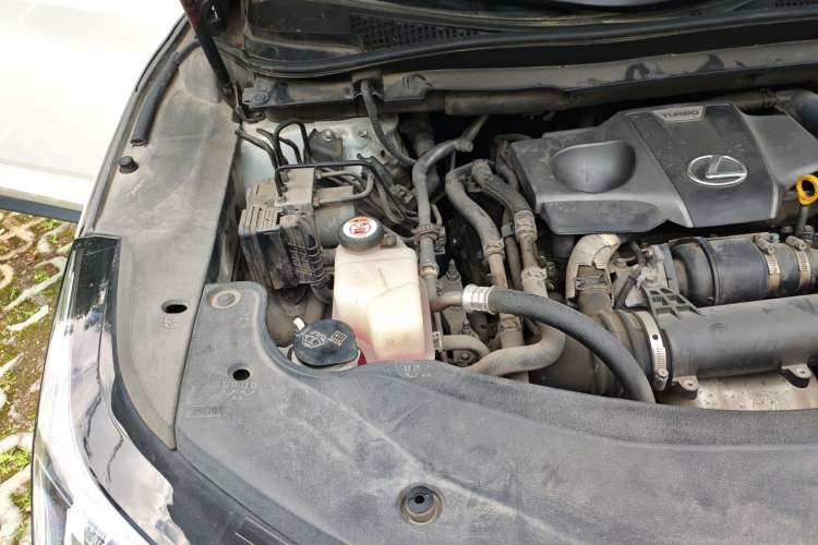 Used Lexus RX 2016 300 Two-Wheel Drive Elite Version China V Standard Engine Bay Right