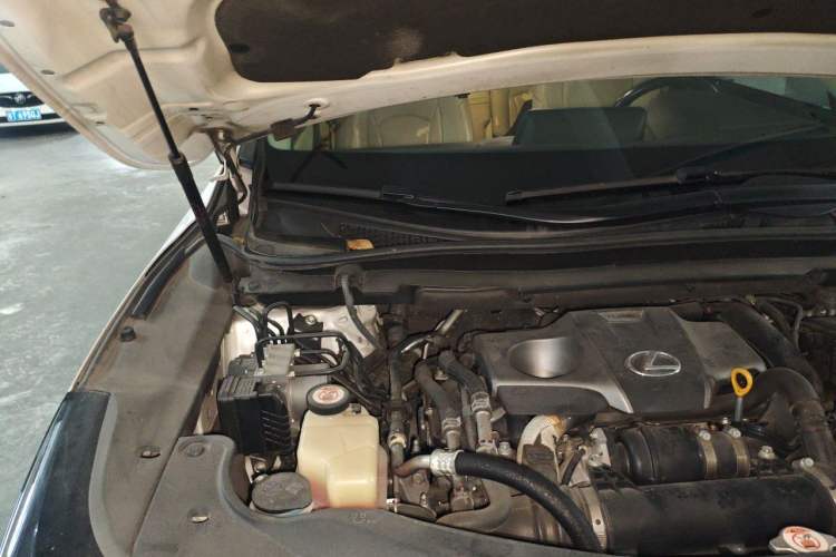 Used Lexus RX 2016 300 Two-Wheel Drive Elite Version China V Standard Engine Bay Right