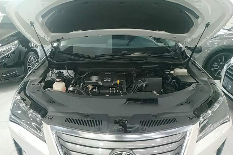 Used Lexus RX 2016 300 4x4 Elegant Edition China VI Engine Bay