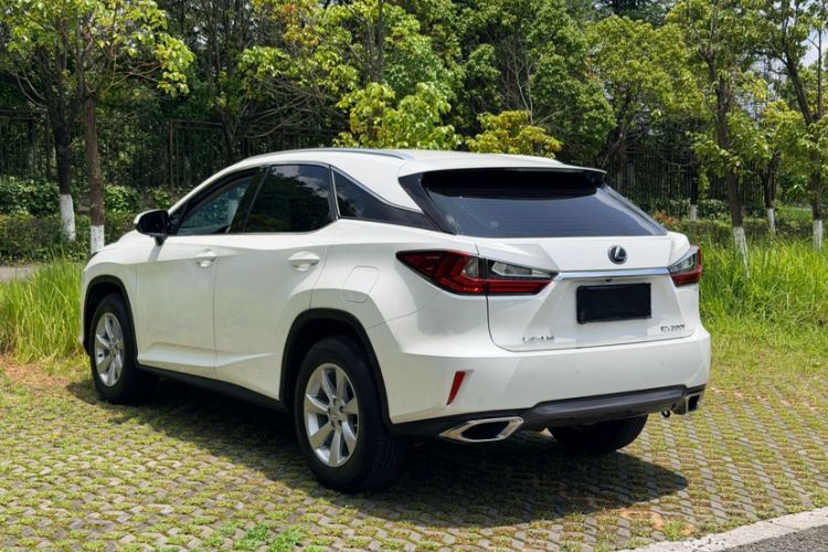 Used Lexus RX 2016 300 Two-Wheel Drive Elite Version China V Standard Exterior 1