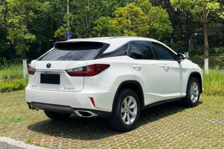 Used Lexus RX 2016 300 Two-Wheel Drive Elite Version China V Standard Exterior 3