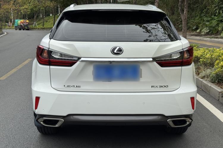 Used Lexus RX 2016 300 Two-Wheel Drive Elite Edition China VI Standard Exterior 3