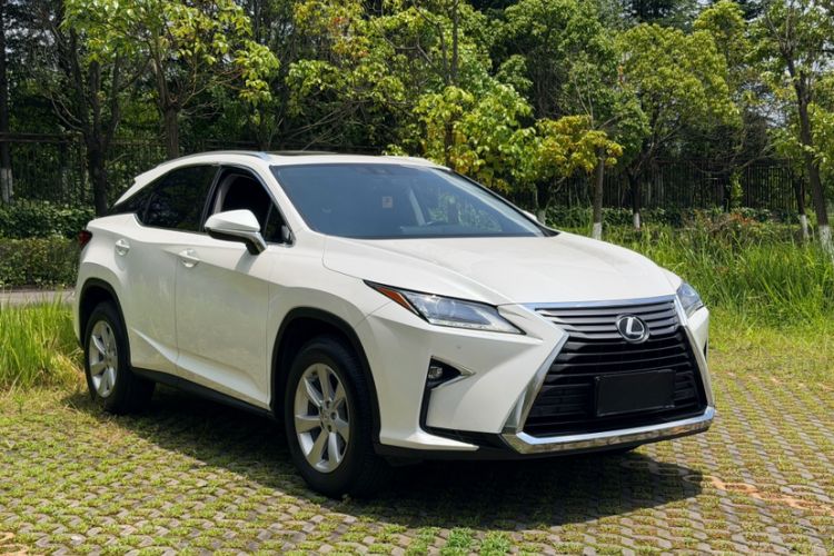 Used Lexus RX 2016 300 Two-Wheel Drive Elite Version China V Standard Exterior 4