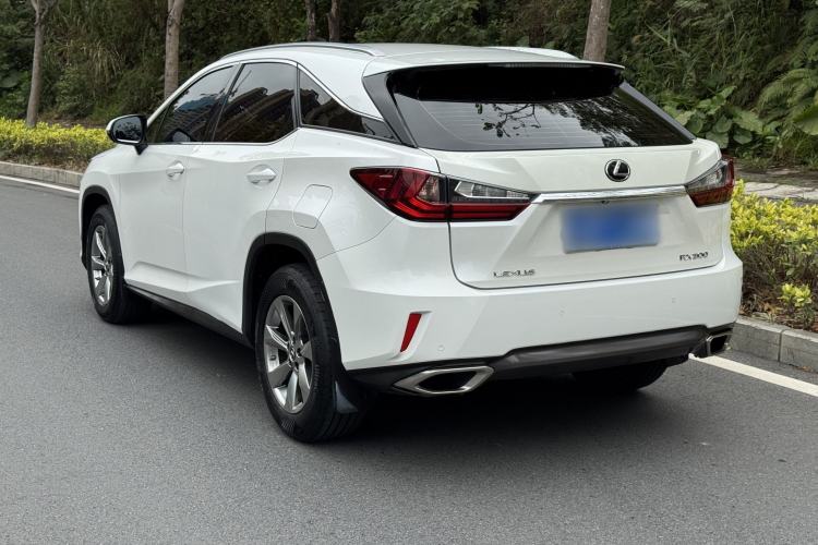 Used Lexus RX 2016 300 Two-Wheel Drive Elite Edition China VI Standard Exterior 4